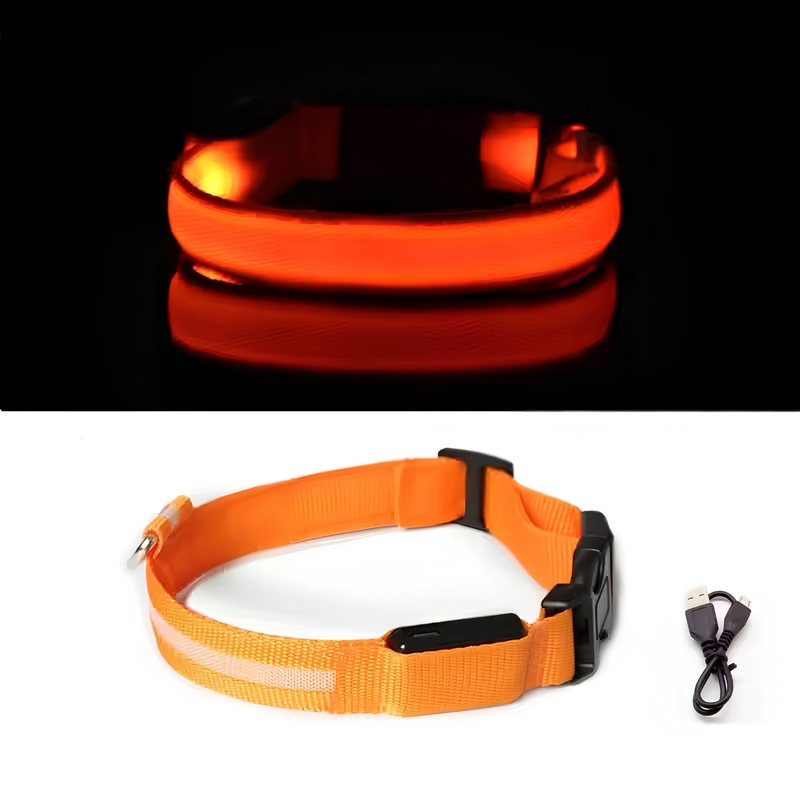 GlowSafe™ LED Safety Collar