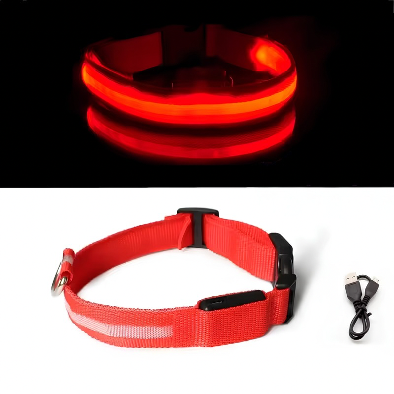 GlowSafe™ LED Safety Collar