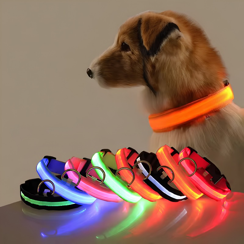 GlowSafe™ LED Safety Collar