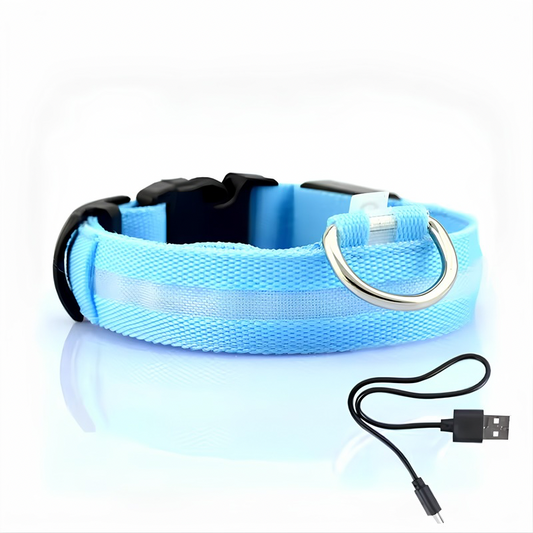 GlowSafe™ LED Safety Collar